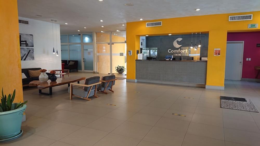Inn Comfort Monterrey Valle 4*
